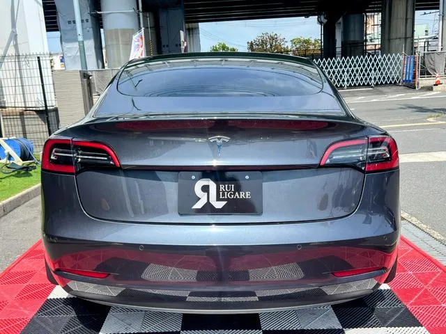 Tesla Model 3 RWD 2022 — миниатюра 3