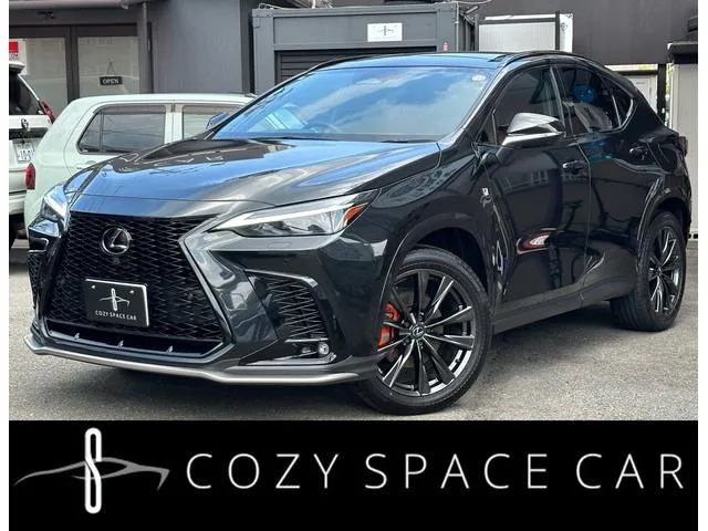 Lexus NX NX350 F SPORT 2023 — фото 1, купить с доставкой в Москву