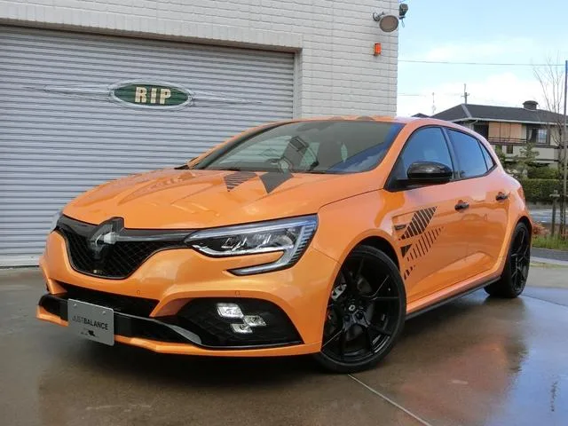 Renault Megane R.S.ULTIME 2025 — фото 1, купить с доставкой в Москву