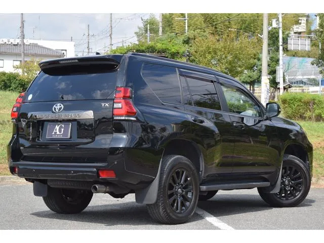 Toyota Land Cruiser Prado TX L PACKAGE 2022 — миниатюра 5