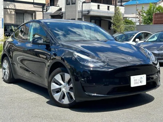 Tesla Model Y RWD 2023 — миниатюра 2