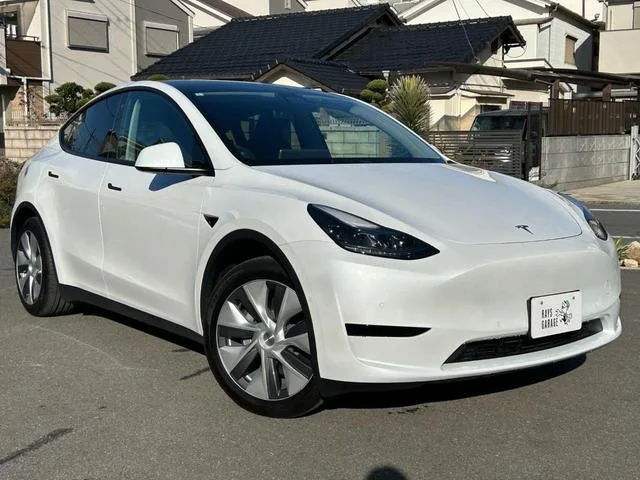 Tesla Model Y RWD 2023 — миниатюра 2