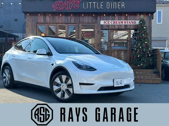 Tesla Model Y RWD 2023 — фото 1, купить с доставкой в Москву
