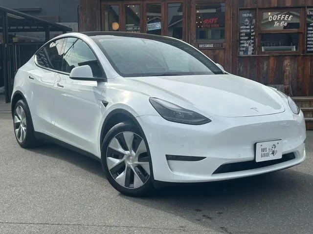 Tesla Model Y DUAL MOTOR AWD LONG RANGE 2023 — миниатюра 2
