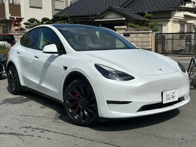 Tesla Model Y PERFORMANCE 2022 — миниатюра 2