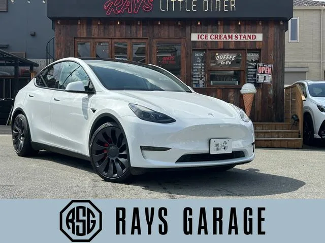 Tesla Model Y PERFORMANCE 2022 — фото 1, купить с доставкой в Москву