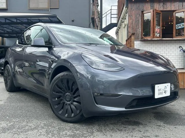 Tesla Model Y DUAL MOTOR AWD LONG RANGE 2023 — миниатюра 2