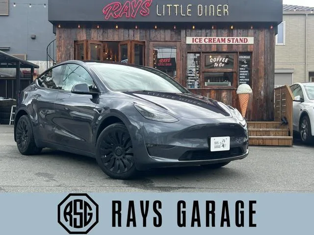 Tesla Model Y DUAL MOTOR AWD LONG RANGE 2023 — фото 1, купить с доставкой в Москву