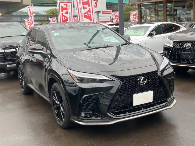 Lexus NX NX350H F SPORT 2024 — миниатюра 4