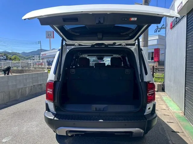 Toyota LAND CRUISER 250 VX FIRST EDITION 2024 — миниатюра 2