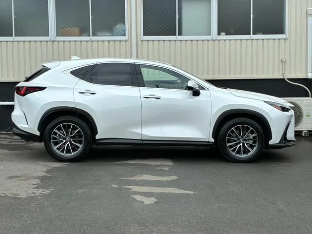 Lexus NX NX350H 2023 — миниатюра 2