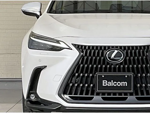 Lexus NX NX250 VERSION L 2023 — миниатюра 3