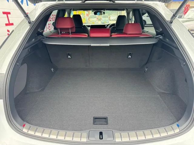 Lexus RX RX500H F SPORT PERFORMANCE 2024 — миниатюра 5