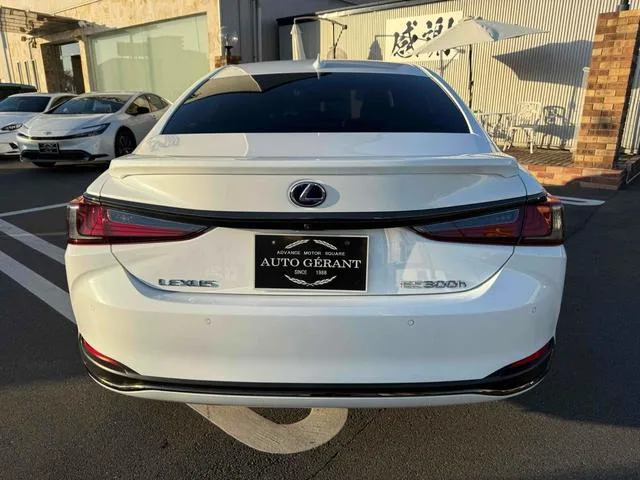 Lexus ES ES300H F SPORT 2022 — миниатюра 5