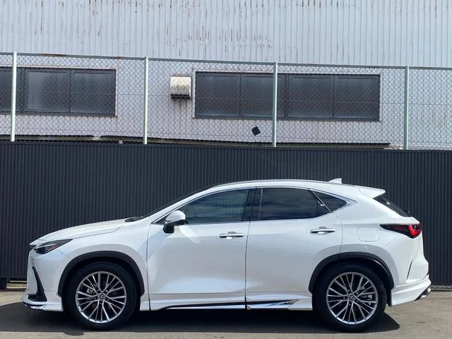 Lexus NX NX250 VERSION L 2023 — миниатюра 2