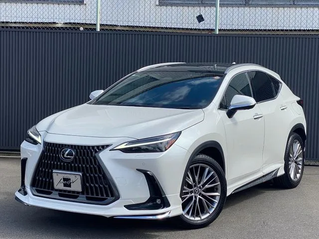 Lexus NX NX250 VERSION L 2023 — фото 1, купить с доставкой в Москву