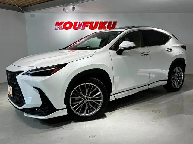 Lexus NX NX450H+ VERSION L 2022 — миниатюра 2