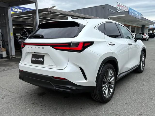 Lexus NX NX250 VERSION L 2023 — миниатюра 3