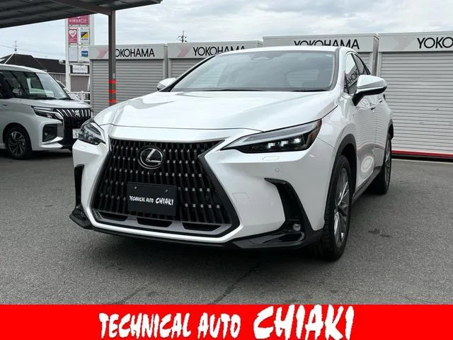 Lexus NX NX250 VERSION L 2023 — фото 1, купить с доставкой в Москву