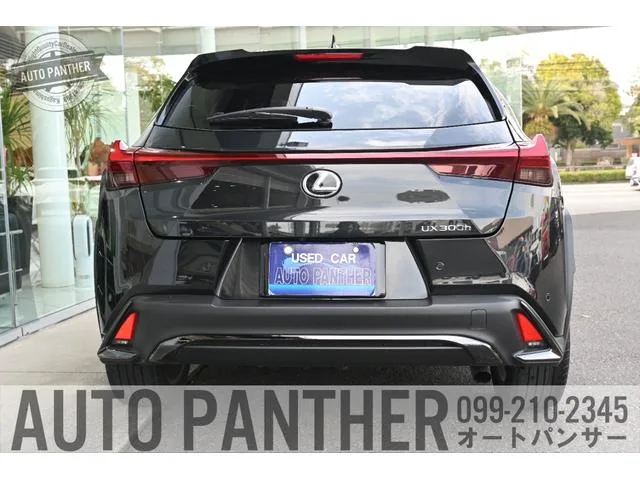 Lexus UX UX300H F SPORT 2024 — миниатюра 2