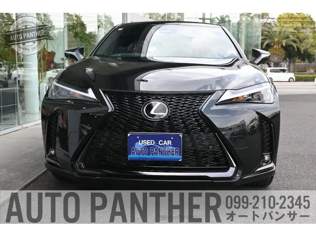 Lexus UX UX300H F SPORT 2024 — миниатюра 3