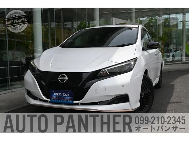Nissan Leaf X V SELECTION 90TH ANNIVERSARY 2025 — фото 1, купить с доставкой в Москву