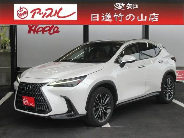 Lexus NX NX250 VERSION L 2023 — фото 1, купить с доставкой в Москву