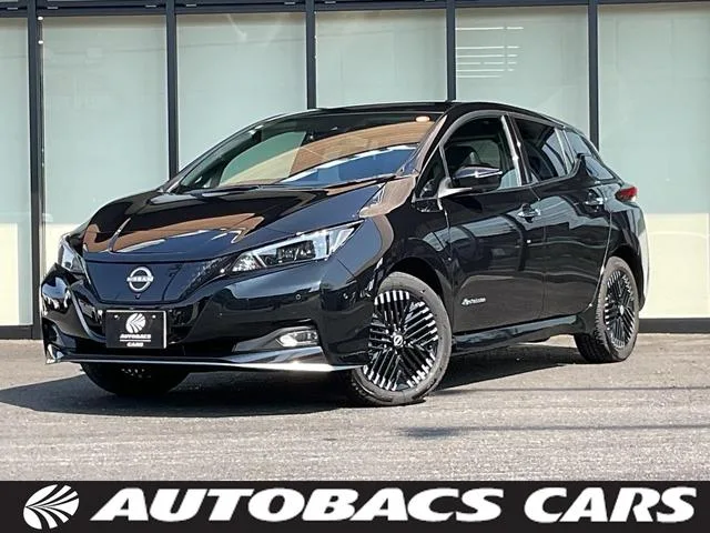 Nissan Leaf e+ G 2024 — фото 1, купить с доставкой в Москву