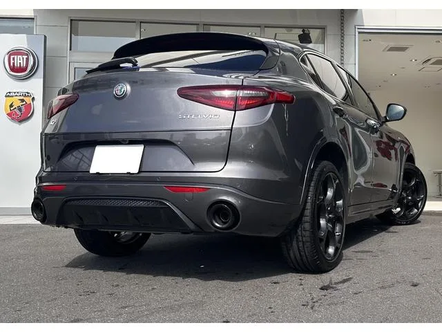 Alfa Romeo Stelvio 2.0 TURBO Q4 VELOCE 2023 — миниатюра 2