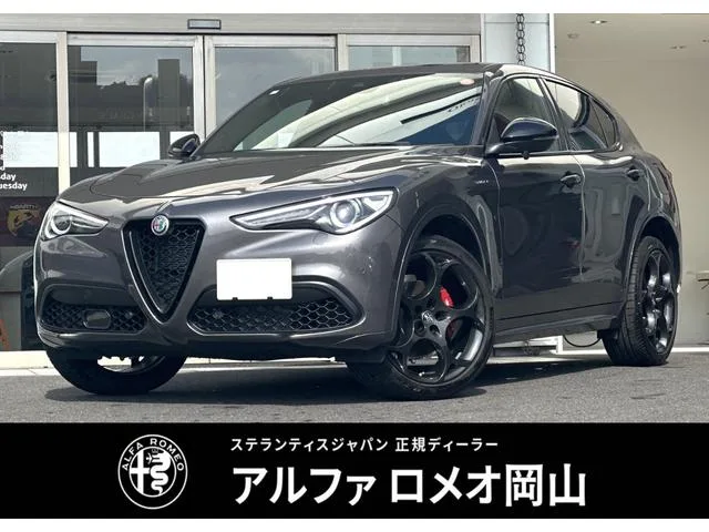 Alfa Romeo Stelvio 2.0 TURBO Q4 VELOCE 2023 — фото 1, купить с доставкой в Москву