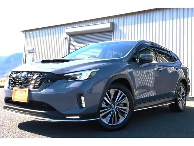 Subaru LEVORG LAYBACK LIMITED EX 2024 — миниатюра 4