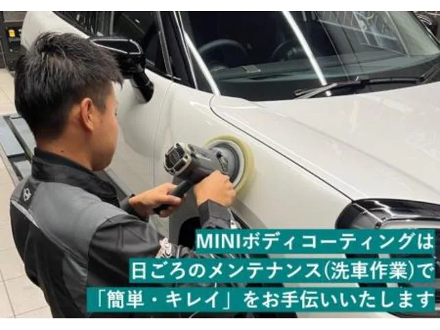 MINI MINI 2024 — миниатюра 4