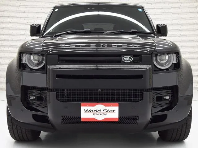 Land Rover Defender 110X D300 2024 — миниатюра 2