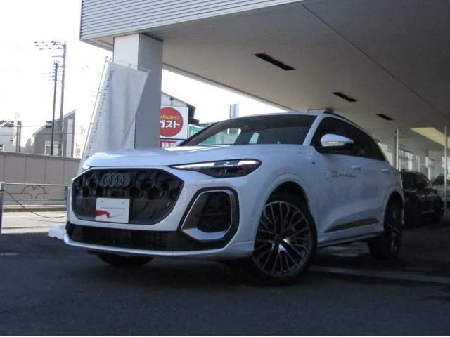 Audi Q5 EDITION ONE 2025 — миниатюра 5