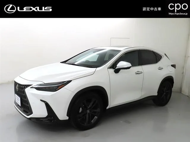 Lexus NX NX450H+ VERSION L 2023 — фото 1, купить с доставкой в Москву