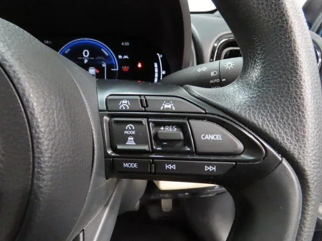 Mitsuoka VIEWT STORY HYBRID LX 2024 — миниатюра 5