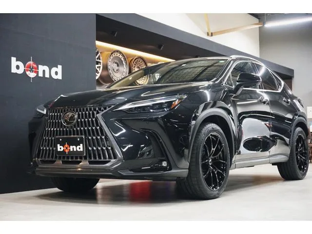Lexus NX NX350H VERSION L 2023 — фото 1, купить с доставкой в Москву