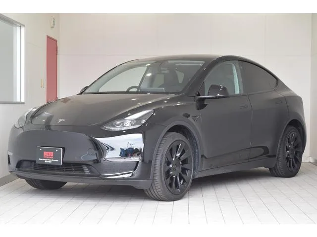Tesla Model Y DUAL MOTOR AWD LONG RANGE 2023 — фото 1, купить с доставкой в Москву
