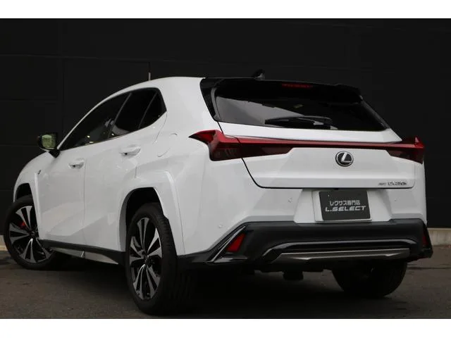 Lexus UX UX250H F SPORT EMOTIONAL EXPLORER 2023 — миниатюра 3