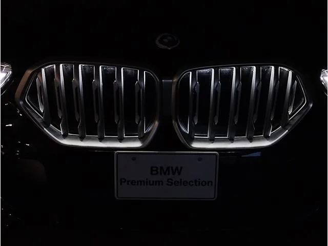 BMW X6 X DRIVE 35D M SPORT HI-LINE PACKAGE 2022 — миниатюра 4