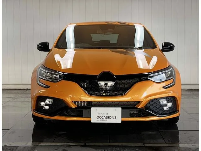 Renault Megane R.S.ULTIME 2024 — миниатюра 4