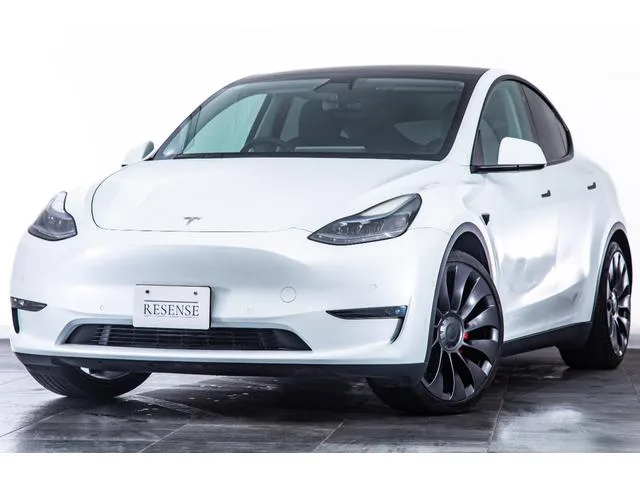 Tesla Model Y PERFORMANCE 2022 — фото 1, купить с доставкой в Москву
