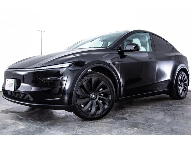 Tesla Model Y DUAL MOTOR AWD LONG RANGE 2025 — миниатюра 3
