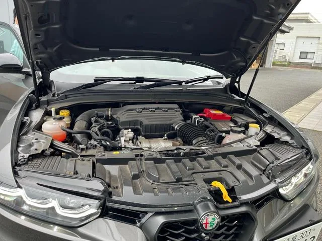 Alfa Romeo Tonale VELOCE 2023 — миниатюра 5