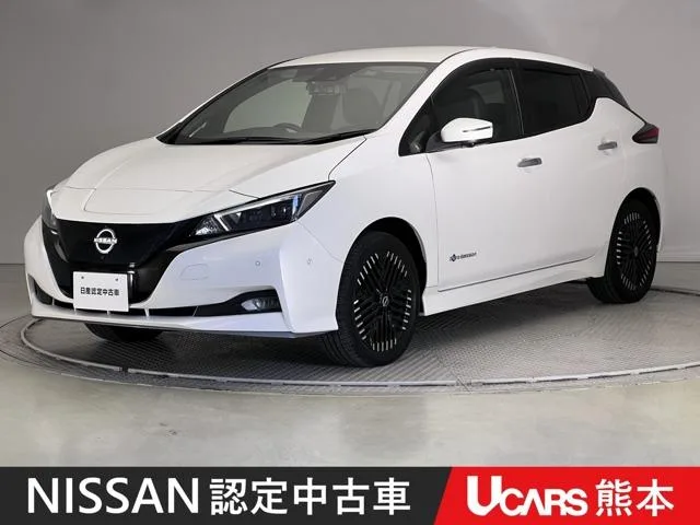 Nissan Leaf e+ G 2023 — фото 1, купить с доставкой в Москву