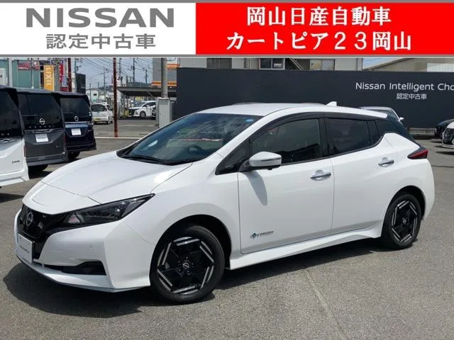 Nissan Leaf e+ X 2025 — фото 1, купить с доставкой в Москву