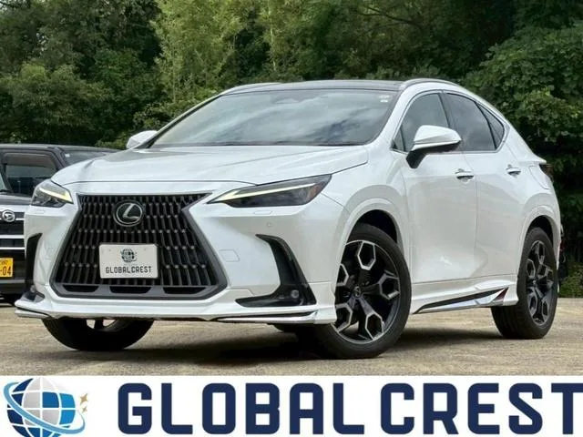 Lexus NX NX300H VERSION L 2023 — фото 1, купить с доставкой в Москву