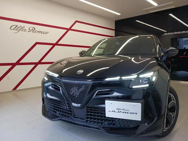 Alfa Romeo Junior IBRIDA PREMIUM 2025 — фото 1, купить с доставкой в Москву