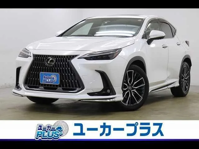 Lexus NX 2023 — фото 1, купить с доставкой в Москву