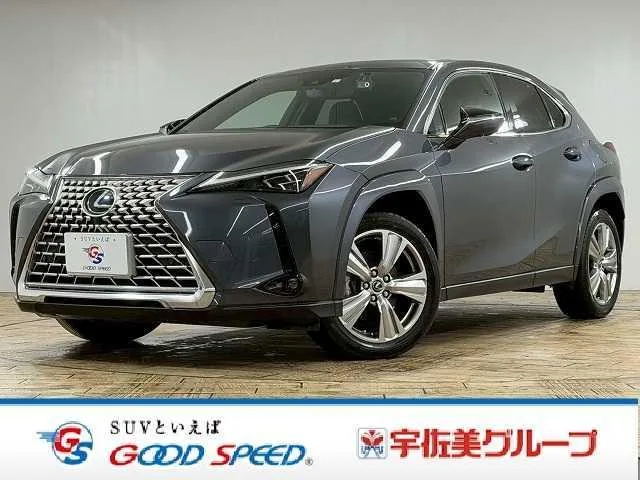 Lexus UX UX250H GRACEFUL EXPLORER 2023 — фото 1, купить с доставкой в Москву